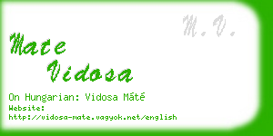 mate vidosa business card